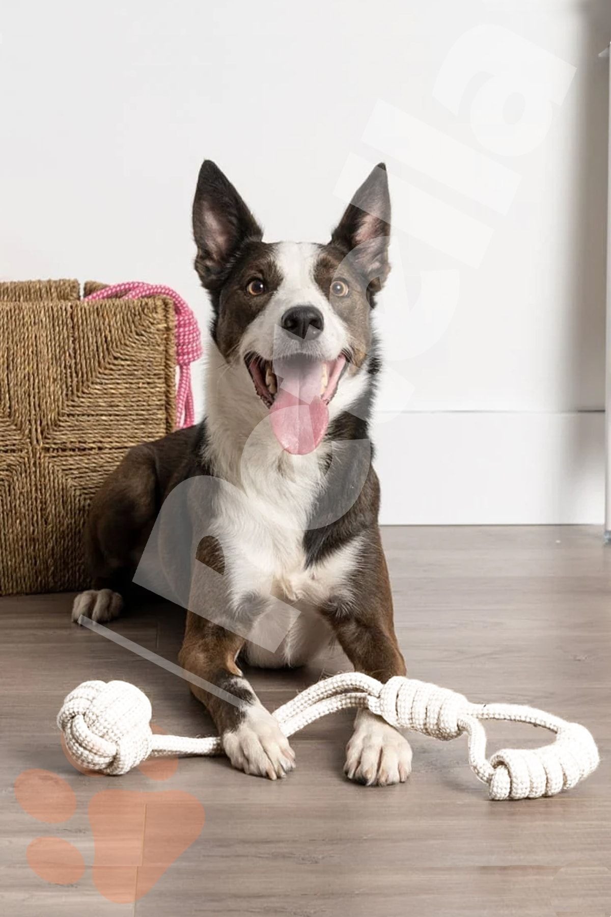 Köpek Oyuncağı Köpek Kemirme Oyuncağı Köpek Çekme Oyuncağı Halat Isırma Oyuncağı Diş Ipi Büyük Boy